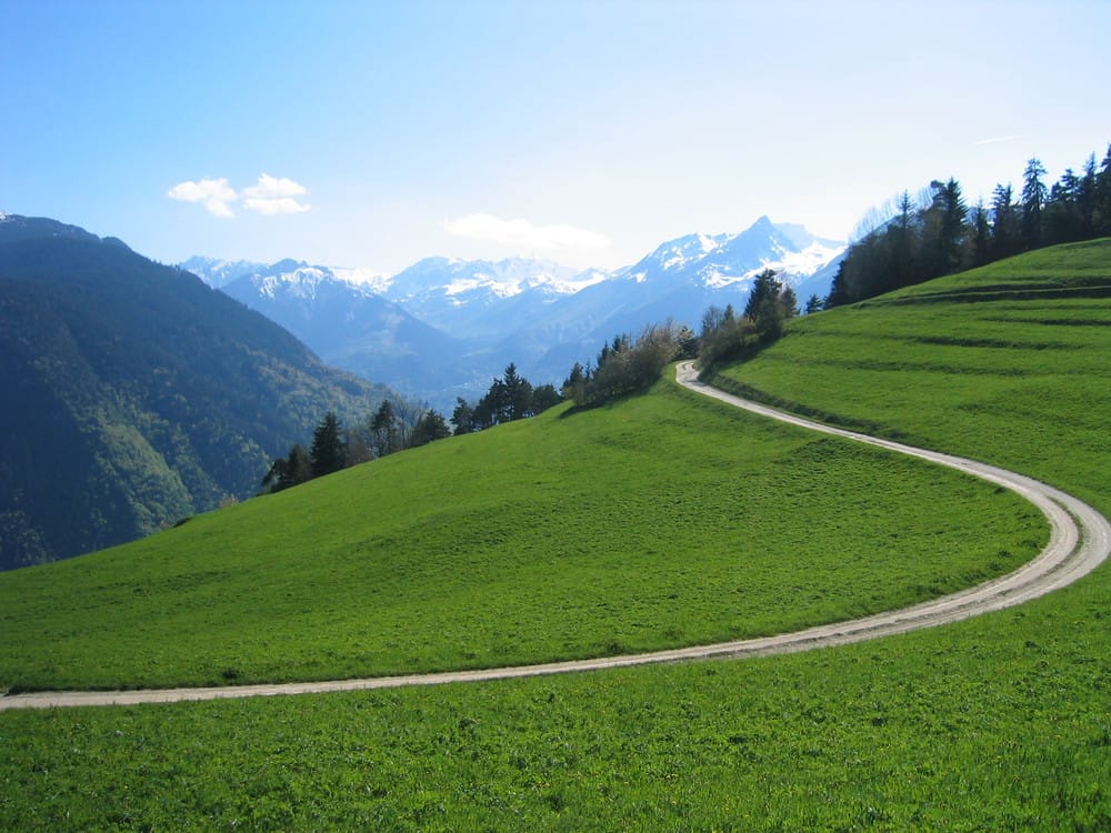 Blog 1 Feissons Field